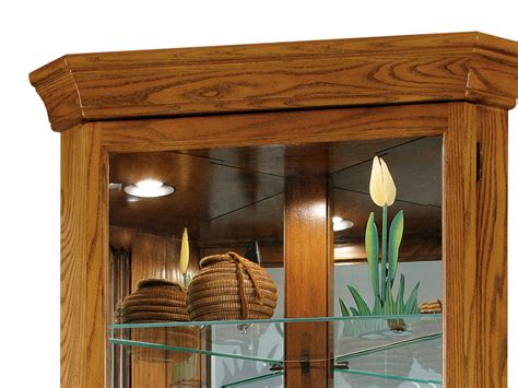 At legacy cabinets, we build cabinets for kitchens, bathrooms and more! Domin Legacy Oak Corner Curio | Modern Curios | Curios ...