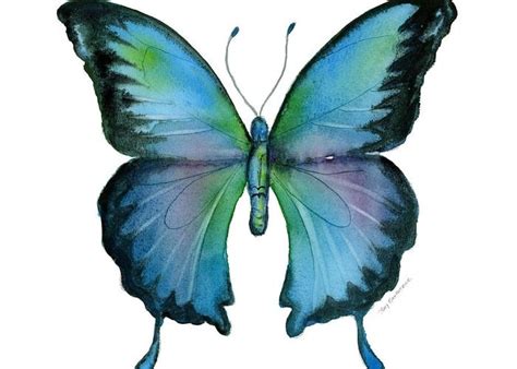 12 Blue Emperor Butterfly Greeting Card For Sale By Amy