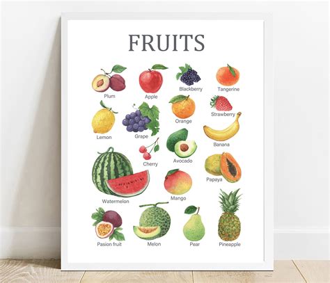 Educational Fruits Chart Printable Classroom Learning Home Etsy