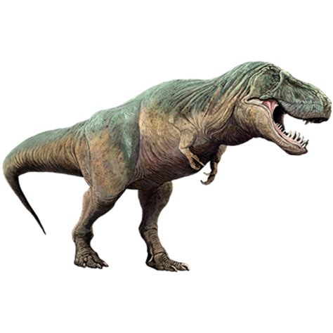 Same with megalodons and all the other things that have what does a rex eat? File:202007 Tyrannosaurus rex.svg - Wikipedia