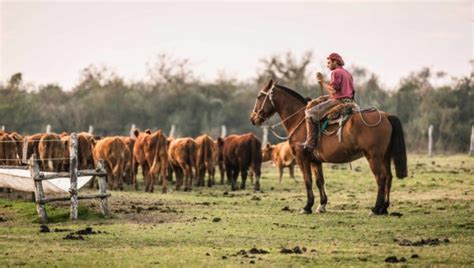 El ministerio de ganadería, agricultura y pesca declaró de interés ministerial la celebración de este día ante la solicitud hecha por la unión nacional de asalariados, trabajadores rurales y afines (unatra). ¿Por qué se celebra el Día del Trabajador Rural este 8 de ...