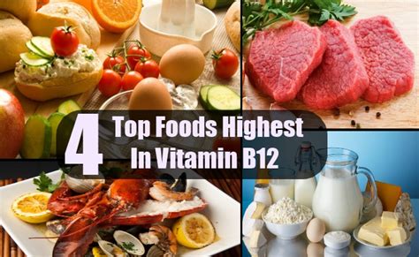 Maybe you would like to learn more about one of these? Top 4 Foods Highest In Vitamin B12 | Search Home Remedy