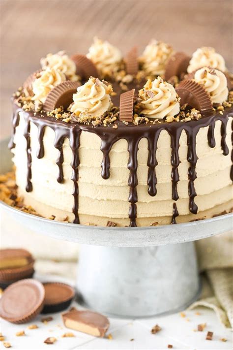 Two chocolate cakes are layered with chocolate frosting and decorated also known as chocolate birthday cake. today's recipe is perfect for kids but will also wake up the inner child in any adult, just like these these. 40 Best Birthday Cakes To Bake For Your Person