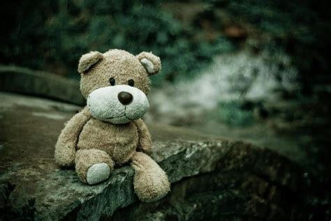 Brown Teddy Bear Sitting On Edge Of Pavement · Free Stock Photo