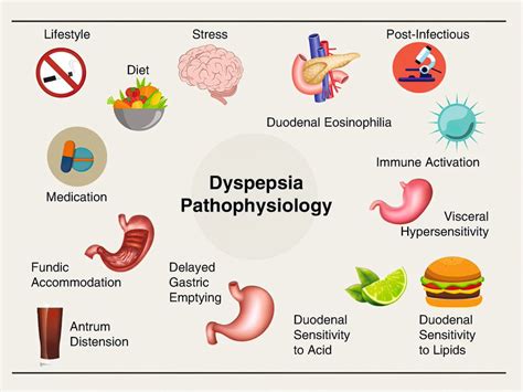 Understanding Functional Dyspepsia Causes Symptoms And Management