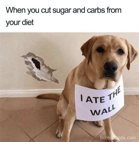 30 Funny Weight Loss Memes That Perfectly Describe How My Diet S Going Bouncy Mustard