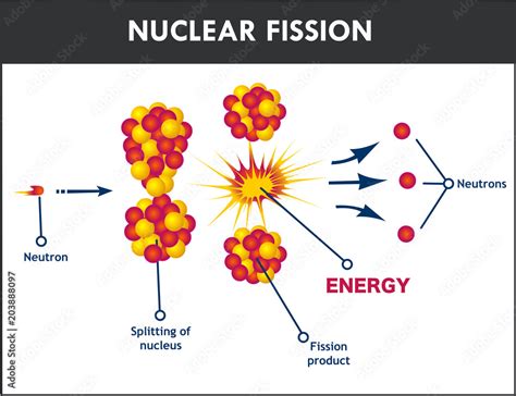 Diagram Showing Nuclear Fission Vector De Stock Adobe Stock