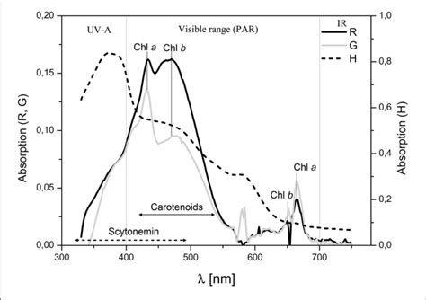 Absorption Spectra Of Acetone Pigment Extracts In The Range Of