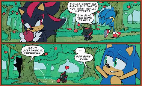 Shadow And Sonic Idw Shadow The Hedgehog Photo 44482753 Fanpop Page 7