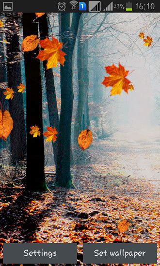 Autumn Rain Live Wallpaper For Android Autumn Rain Free Download For