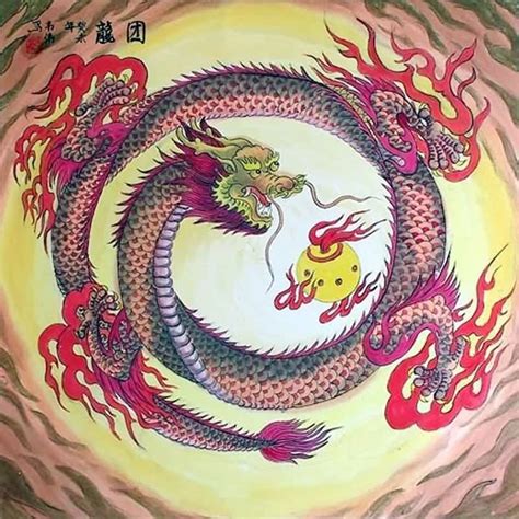 Chinese Dragon Painting 4739007 50cm X 50cm19〃 X 19〃