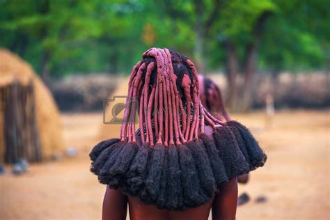 Royalty Free Image Traditional Hairstyle Of Women In The Himba Tribe Photographed From Behind