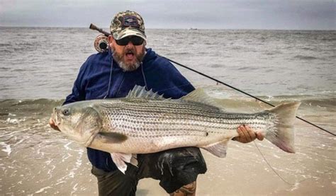 √ Saltwater Striped Bass Flies Popular Century