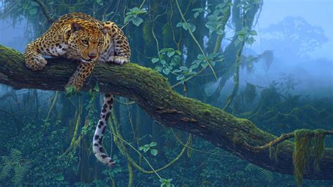 Animals Jungle Leopard On Branch Hd Wallpaper 3840x2400