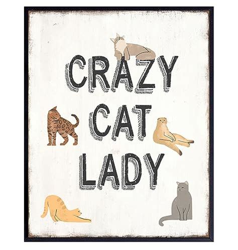 Cute Cat Wall Decor For Women Funny Sayings Crazy Cat Lady Ts For Women Woman