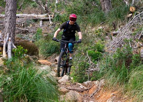 Mountain Bike Guide Mallorca Bulk Prices Oceanproperty Co Th