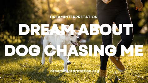 Dream About Dog Chasing Me Interpretation And Spiritual Meaning