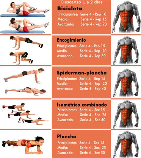 Rutina De Ejercicios Para Un Abdomen Definido Gym Workout Tips Fit Board Workouts Cardio