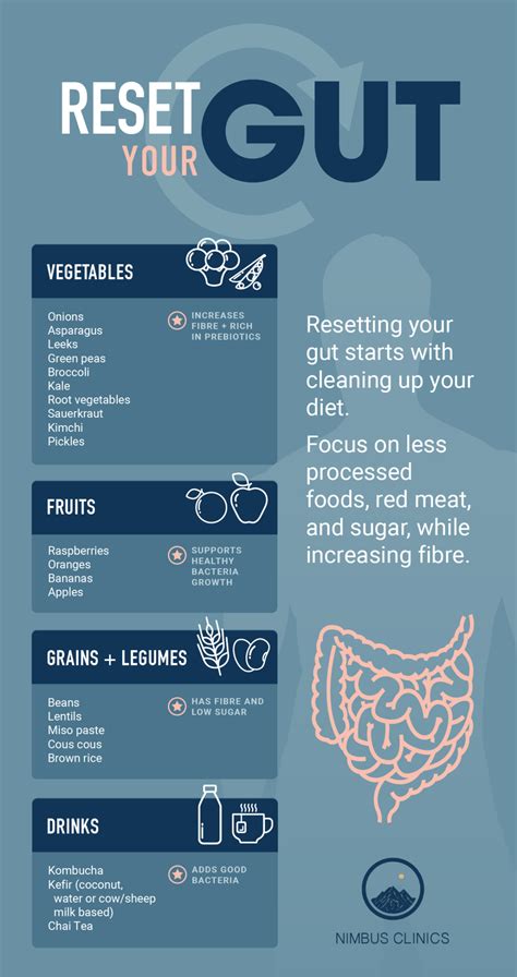 The Best 10 Food That You Can Find For A Healthy Gut Diet Gut Health