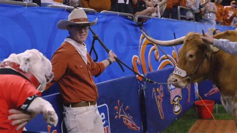 Peta Live Animal Mascots Must Go After Bevo Charged At Uga The State