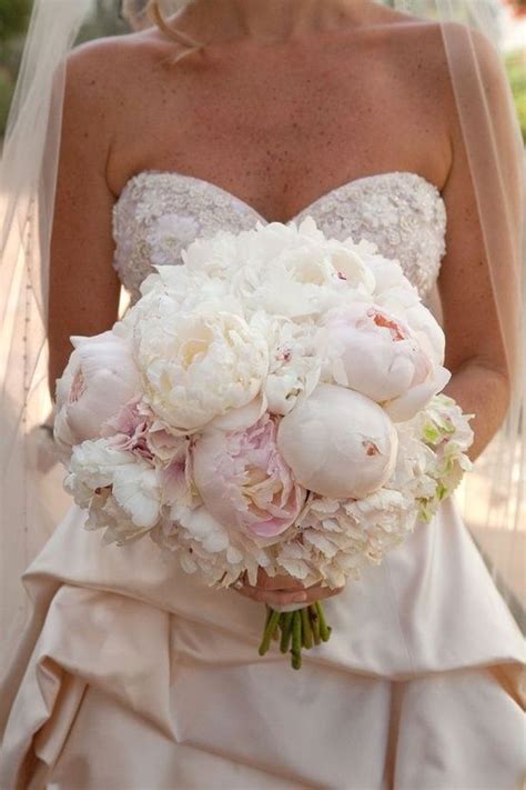 Peonies Peony Bouquet Wedding Hydrangeas Wedding Hydrangea Bouquet