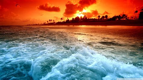 Tropical Beach Sunset Hd Desktop Wallpapers High