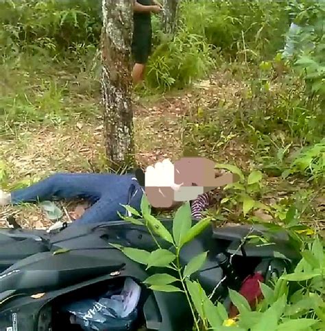 Mayat Wanita Sudah Membusuk Ditemukan Kebun Karet Rokan Hilir Kabarduri