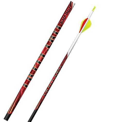 Black Eagle Outlaw Fletched Crested Arrows 005 6 Pack 300 White