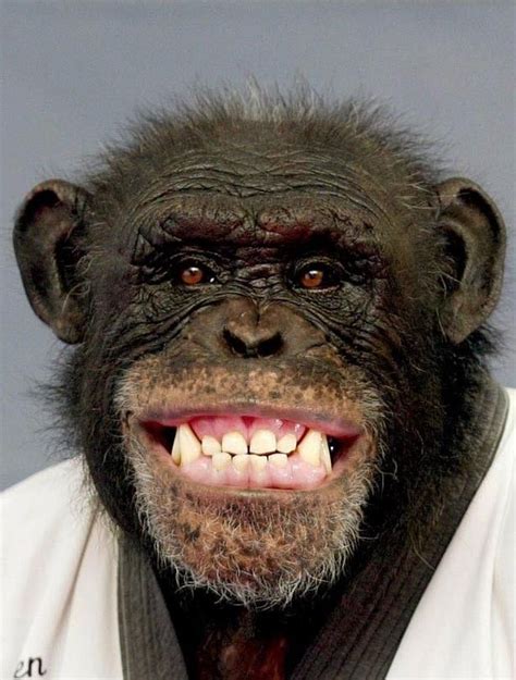 Pin By Joseph Ramiro Macias Perez On Smile Smiling Animals Funny
