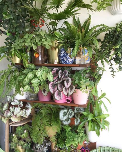 42 Amazing Indoor Garden Decorations Tips And Ideas Room With Plants