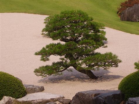 Japanese Garden In A Small Yard