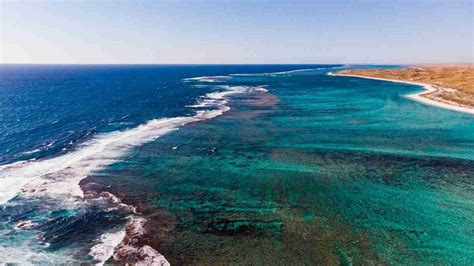 Ningaloo Reef Snorkeling Dexception En Australie Singapour Live