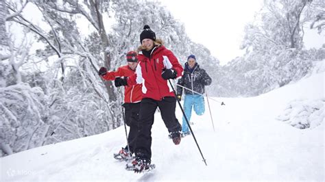 Mt Buller Snow Trip From Melbourne Klook