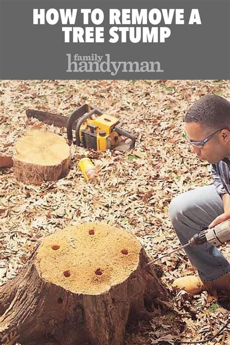 How To Remove A Tree Stump Tree Stump Removing Tree Stumps Garden