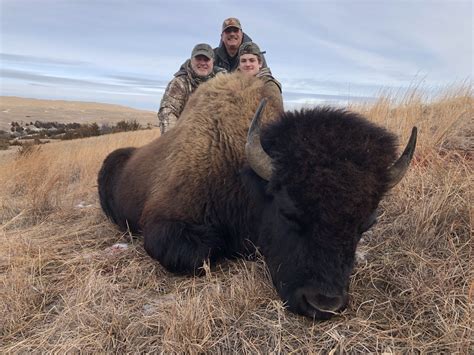 Historic Nebraska Sandhills Bison Hunt Worldwide Trophy Adventures