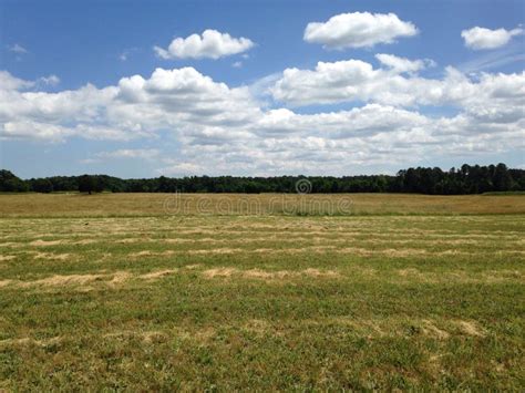 Grass Field Stock Photo Image Of Grass Sunny Battlefield 42646662