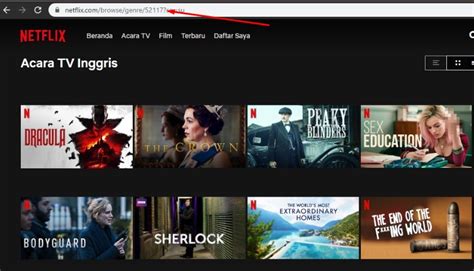 Pemahaman sederhana mengenai apa itu nlp? Cara Mencari Film Netflix Menggunakan Kode Rahasia - 3xploi7 BuG