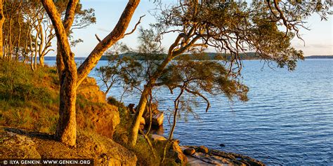 Sunset At Lake Macquarie Wangi Wangi Lake Macquarie Nsw