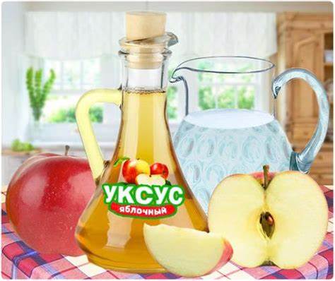 Как надо пить яблочный уксус чтобы похудеть