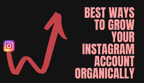 Best Ways To Grow Your Instagram Account Organically