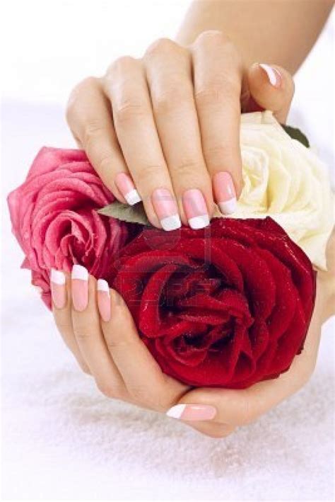 A Womans Hands With White And Pink Manicures Holding A Red Rose