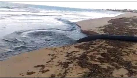 moradora denuncia despejo de esgoto na praia da marina vídeo jornal prensa de babel