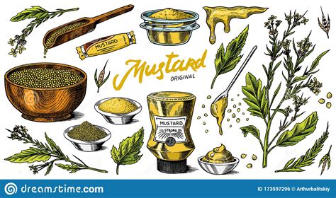 Mustard Seeds Set Spicy Condiment Seasoning Bottle