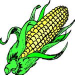 Estancia infantil champiñón, pachuca de soto. Los vegetales en inglés. Ficha resumen.