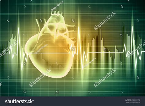 Virtual Image Human Heart Cardiogram Stock Illustration 143033752