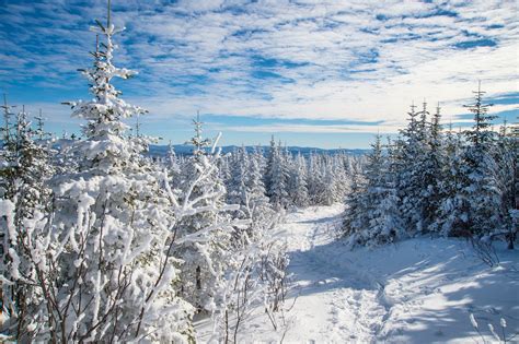 The 8 Best Winter Festivals In Canada Skyscanner Canada