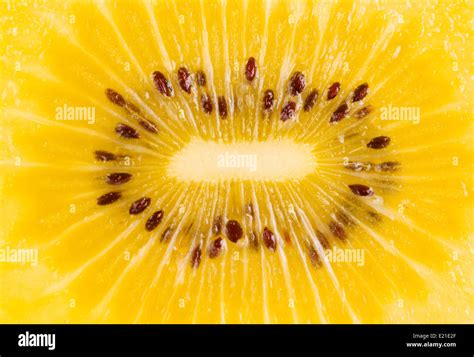 Golden Kiwi Fruit Stock Photo Alamy