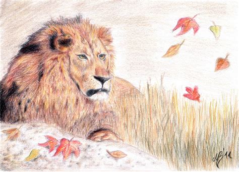 Young Lion 42 Fall Contest By Colourfulhorseart On Deviantart