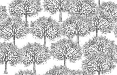 Tree Silhouettes Seamless Pattern Stock Illustration Illustration Of