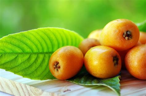 Learn fruit list in english. Nispero, Loquat, or Medlar Is a Seasonal Fruit in Spain